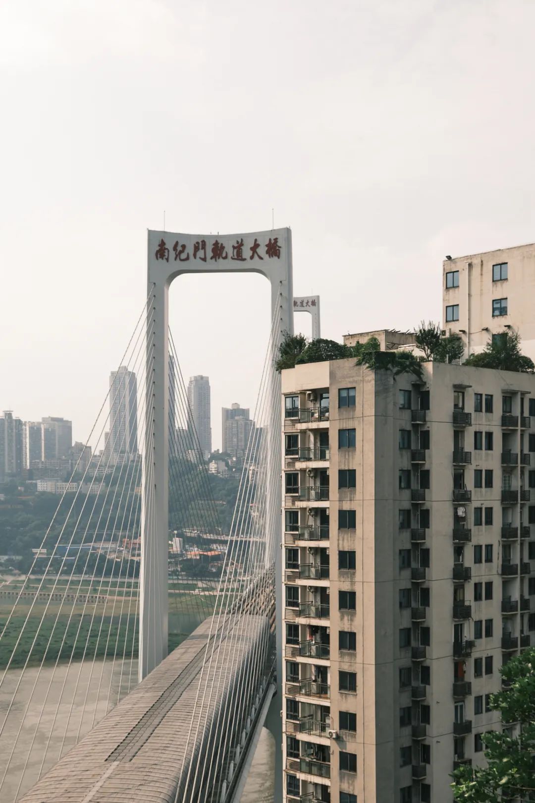 重庆后堡:有个要“跑路”的团队 重庆后堡:有个要“跑路”的团队