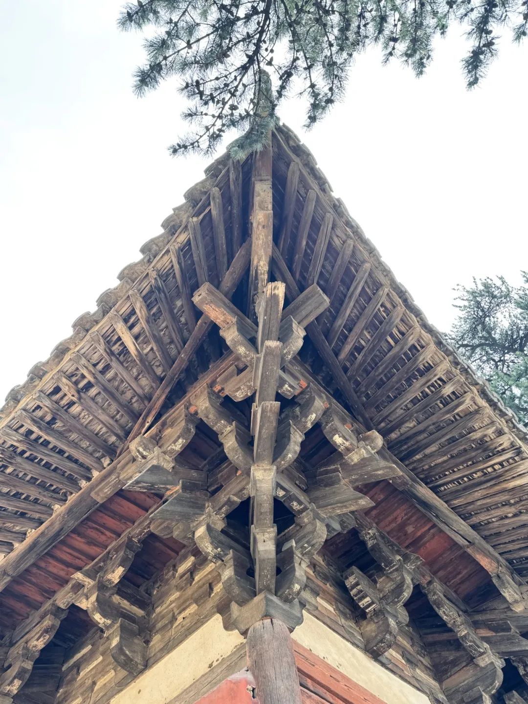 从南禅寺看历史建筑、街区的活化 从南禅寺看历史建筑、街区的活化