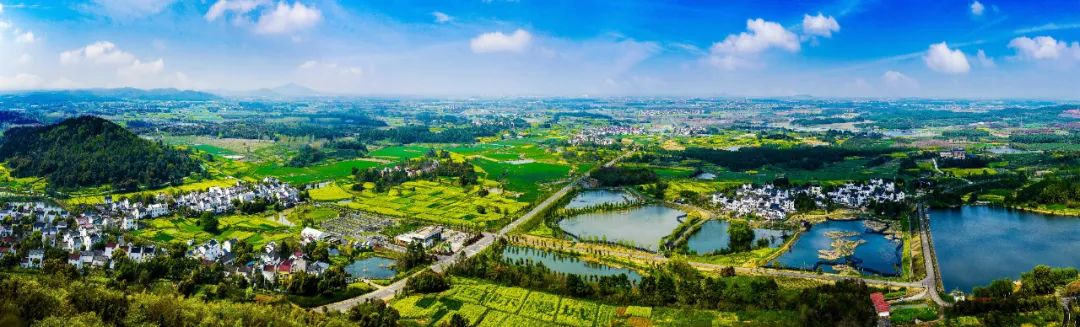 一块“集地”蕴含的乡村振兴之道