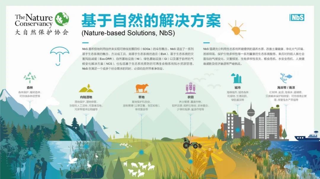 全国生态日×学术笔谈 | 学会城市生态规划专委会“气候变化背景下城市与自然生态环境的和谐并进途径”主题活动 全国生态日×学术笔谈 | 学会城市生态规划专委会“气候变化背景下城市与自然生态环境的和谐并进途径”主题活动