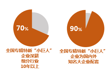 什么是“专精特新企业”? 什么是“专精特新企业”?