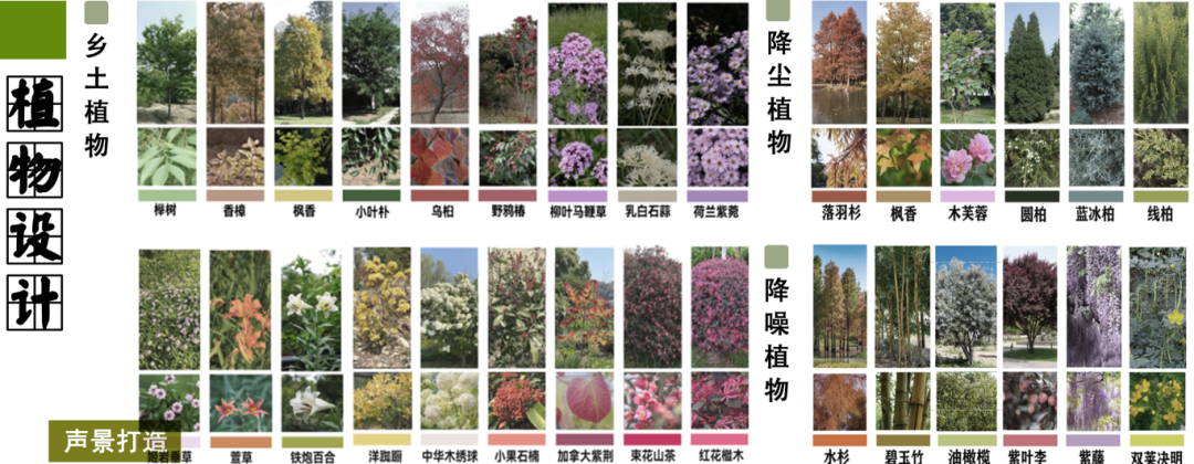 看大学生如何规划公园  |  篇七：生声不息 音运而动——浙江农林大学本科生组作品