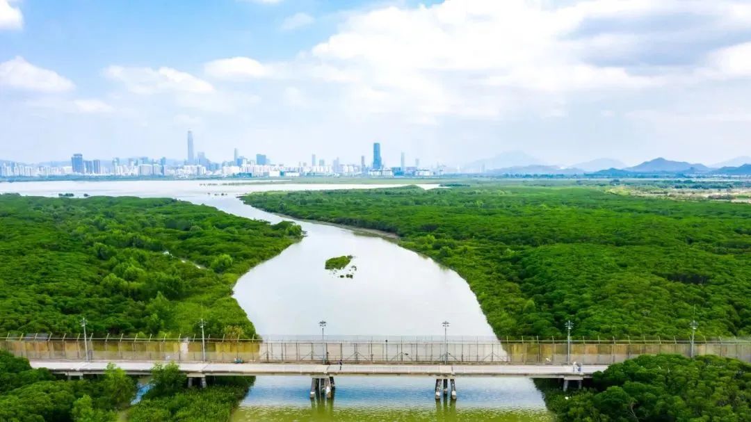 理论研究 | 方煜:深圳湾CXD——大湾区创新中心 理论研究 | 方煜:深圳湾CXD——大湾区创新中心