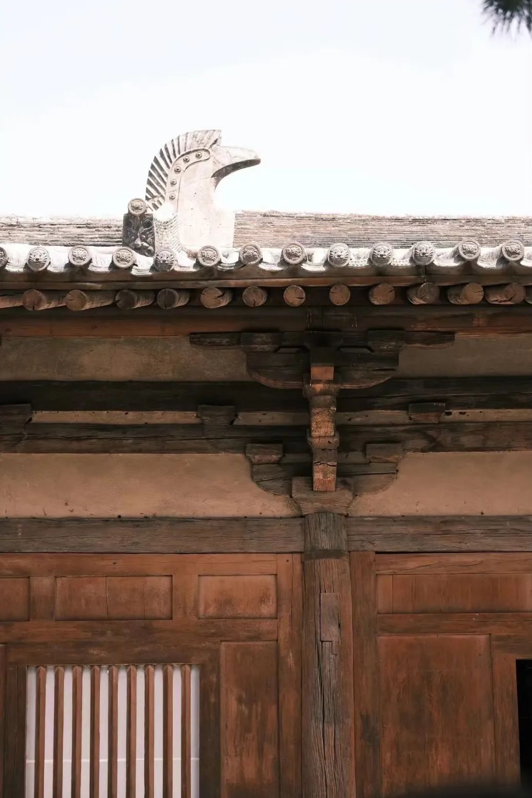 从南禅寺看历史建筑、街区的活化 从南禅寺看历史建筑、街区的活化