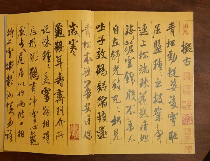 全网爆火，横跨万年，这个地方值得带孩子打卡100次！