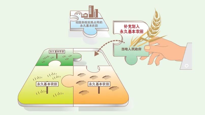 “永农”被占后应如何补划?何为占用耕地补偿制度?| 土地管理法律法规知识解读③ “永农”被占后应如何补划?何为占用耕地补偿制度?| 土地管理法律法规知识解读③