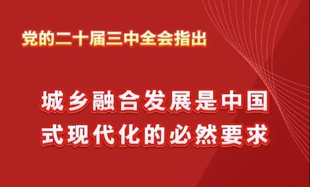 聚焦三中全会 | 尹稚 龙茂乾:新时期城镇化率再审视及城乡融合前景展望 聚焦三中全会 | 尹稚 龙茂乾:新时期城镇化率再审视及城乡融合前景展望
