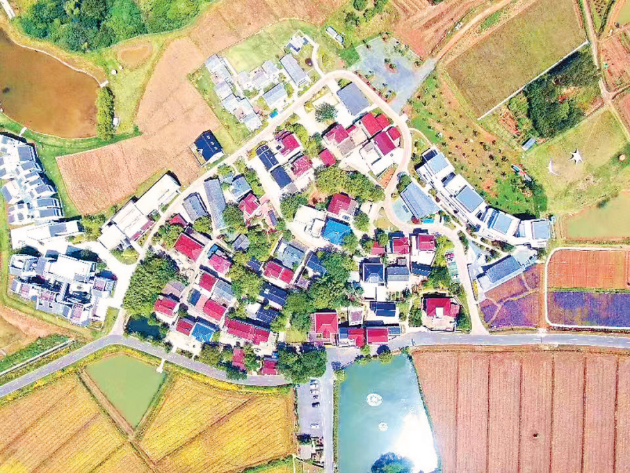 一块“集地”蕴含的乡村振兴之道 一块“集地”蕴含的乡村振兴之道