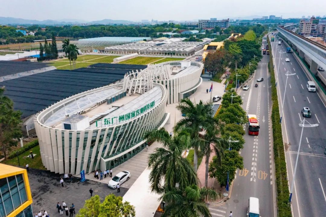 产业链洞察㉙｜耕耘都市农业，共富广州乡村！广州都市现代农业链“五新”齐发