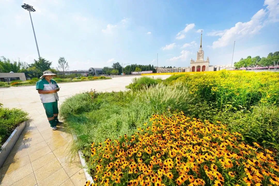 京城两处绿地上新!在你家门口吗 京城两处绿地上新!在你家门口吗