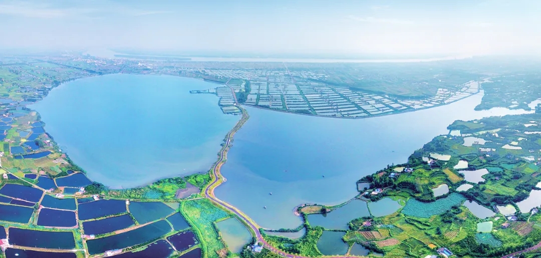 湖北长江三峡地区山水林田湖草生态保护修复工程——枝江市金湖湿地生态修复项目