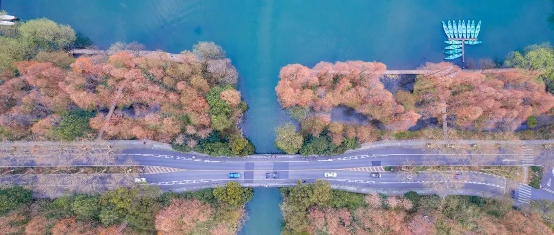 施道红:下一个时代,我们需要从“规划确定性”到“规划不确定性”转变…… 施道红:下一个时代,我们需要从“规划确定性”到“规划不确定性”转变……