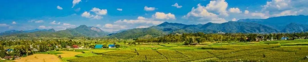 要闻 | 中办、国办发布《关于加强耕地保护提升耕地质量完善占补平衡的意见》