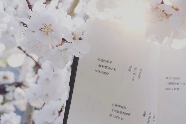 火了5年的企鹅小黑书，迎来收官之作，更有限量款精美周边！