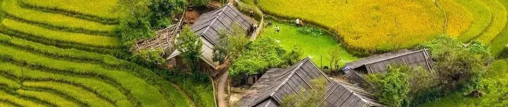 要闻 | 中办、国办发布《关于加强耕地保护提升耕地质量完善占补平衡的意见》