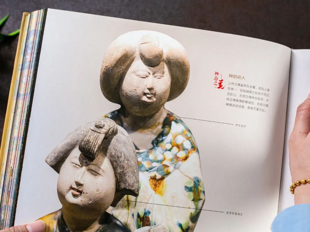 全网爆火，横跨万年，这个地方值得带孩子打卡100次！