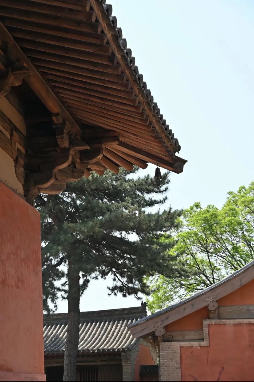 从南禅寺看历史建筑、街区的活化 从南禅寺看历史建筑、街区的活化