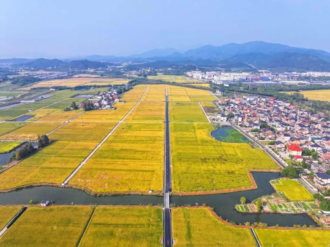 全域土地综合整治试点典型案例丨浙江杭州径山镇：激活乡村振兴的“一池春水”