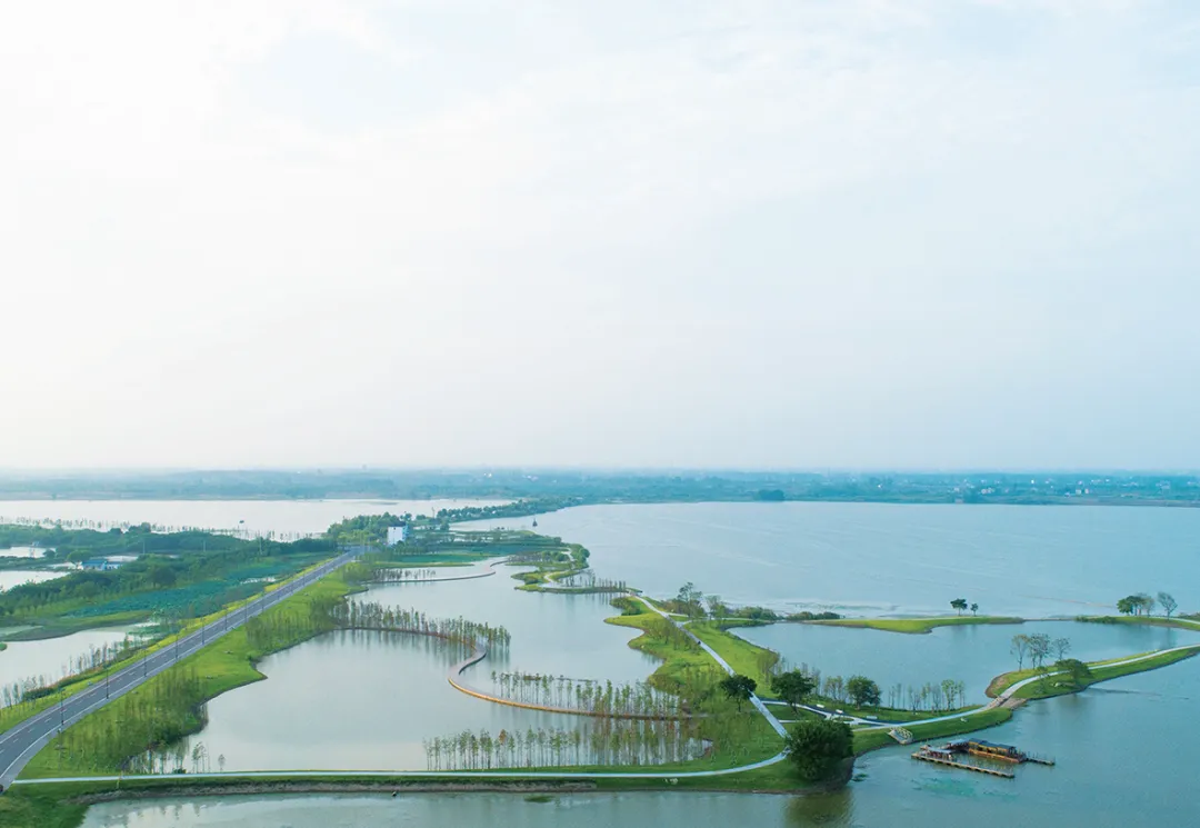 湖北长江三峡地区山水林田湖草生态保护修复工程——枝江市金湖湿地生态修复项目