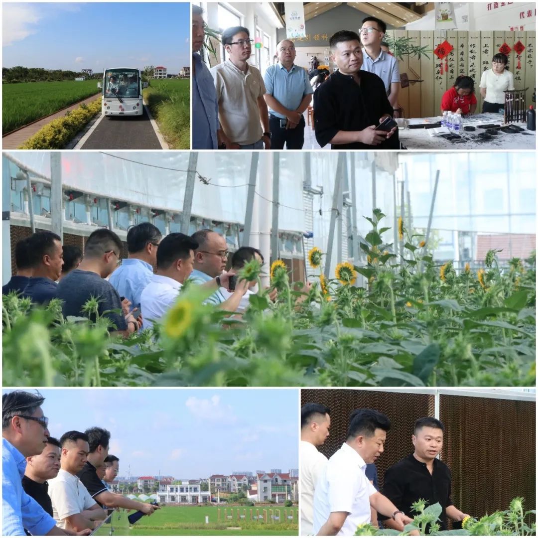 规划创新探索 企业转型思辨 | 国土空间规划新业务暨企业转型发展专业考察研讨会举办
