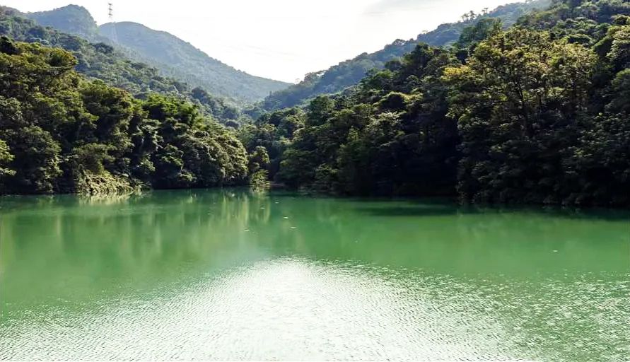高质量发展看测绘⑯|智“绘”林业调查守护绿水青山 高质量发展看测绘⑯|智“绘”林业调查守护绿水青山