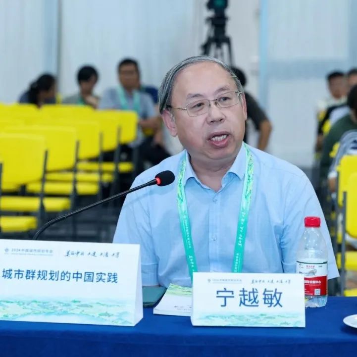 规划年会 | 观点集锦 学术研讨会十六：城市群规划的中国实践