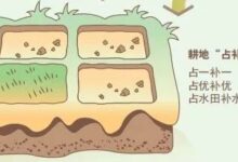 什么是占用耕地补偿制度?永久基本农田被占用后应该怎样补划?如何申请农村宅基地......漫解来了-规划问道