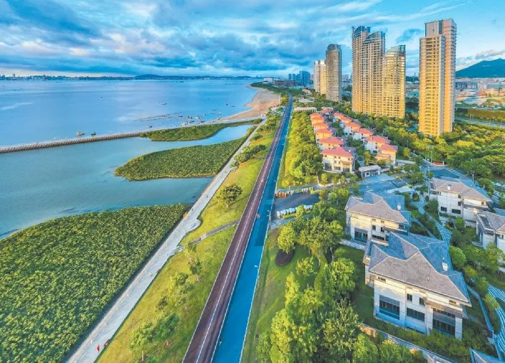 今天，让我们跟随沿着总书记的足迹，领略红树林的勃勃生机