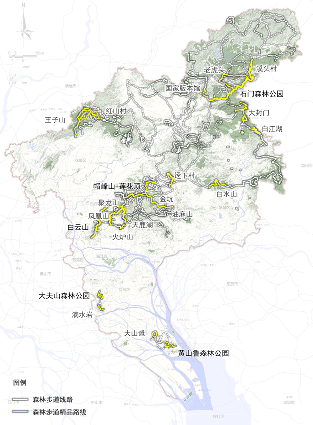 广州好“行”|森林步道:一场徒步广州的流动式漫游体验 广州好“行”|森林步道:一场徒步广州的流动式漫游体验