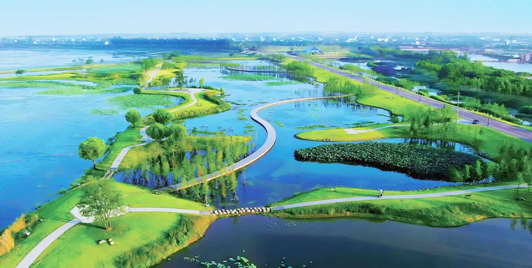 湖北长江三峡地区山水林田湖草生态保护修复工程——枝江市金湖湿地生态修复项目