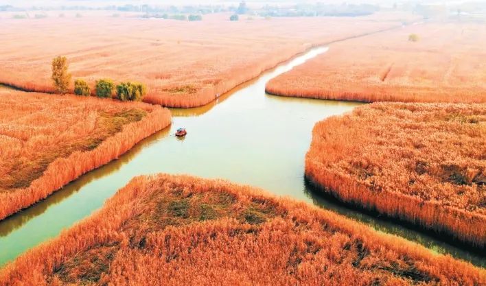 瞰，江山如画！四明山杯“绿水青山瞰中国”摄影大赛来稿作品选登