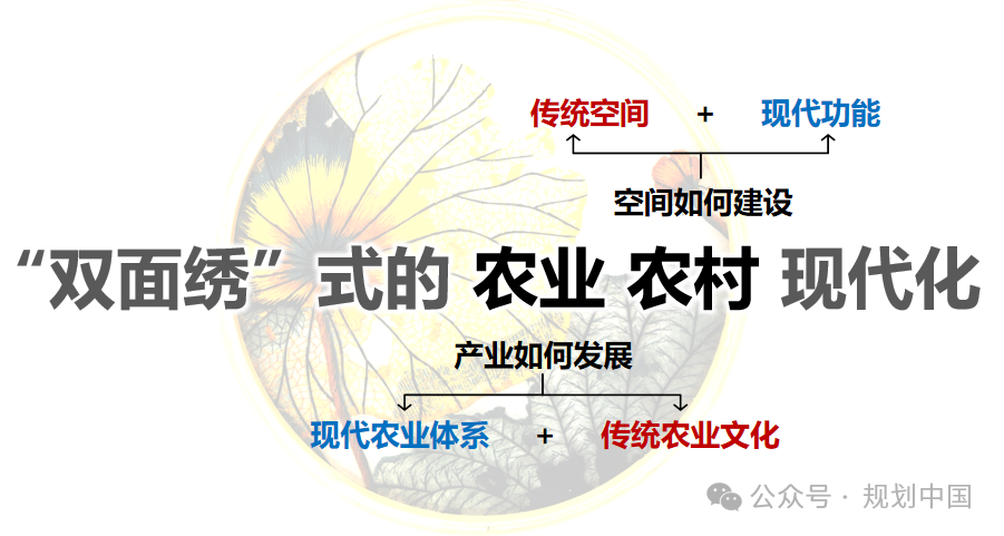 “双面绣”式的农业农村现代化——昆山乡村振兴片区规划实践思考