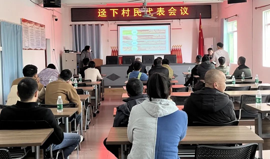 百千万工程⑱|全国“村晚”示范点,未来乡村别样“埔”——黄埔迳下村规划建设实践 百千万工程⑱|全国“村晚”示范点,未来乡村别样“埔”——黄埔迳下村规划建设实践