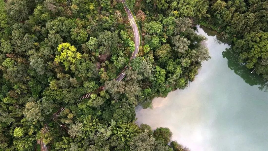 水岸步道:像鱼一样游走在自己的城市 水岸步道:像鱼一样游走在自己的城市