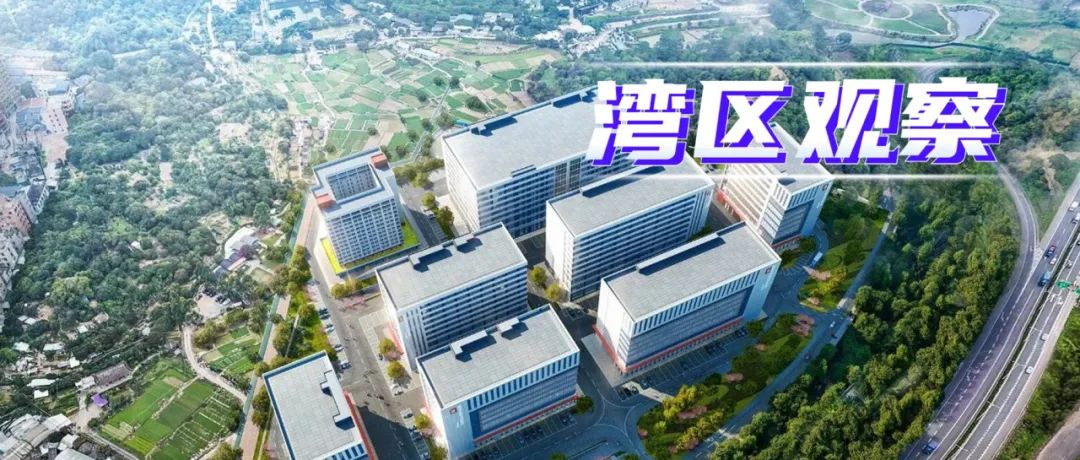 湾区观察⑪|以“好房子”引领城市高品质:东莞滨海湾新区住房规划实践 湾区观察⑪|以“好房子”引领城市高品质:东莞滨海湾新区住房规划实践