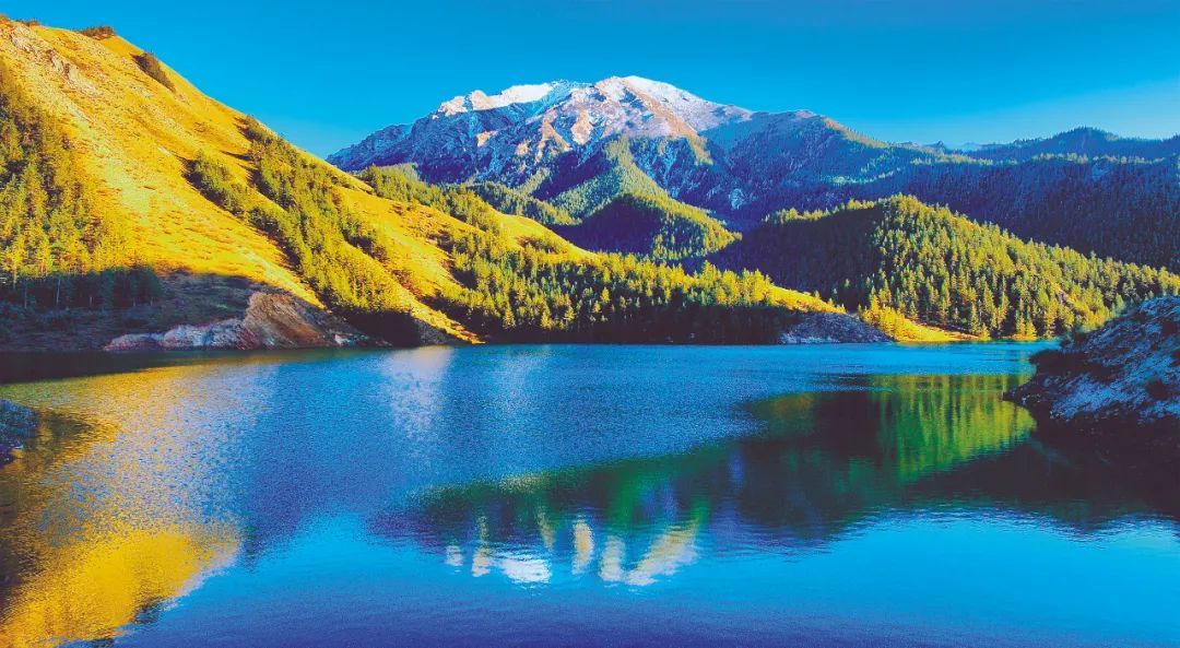 瞰，江山如画！四明山杯“绿水青山瞰中国”摄影大赛来稿作品选登