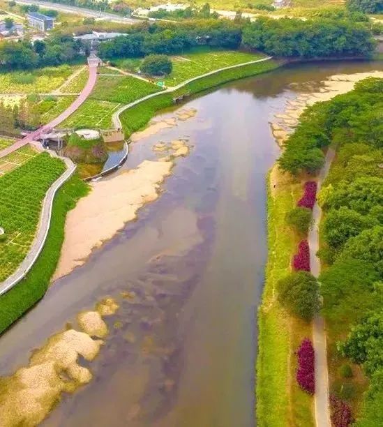 水岸步道:像鱼一样游走在自己的城市 水岸步道:像鱼一样游走在自己的城市