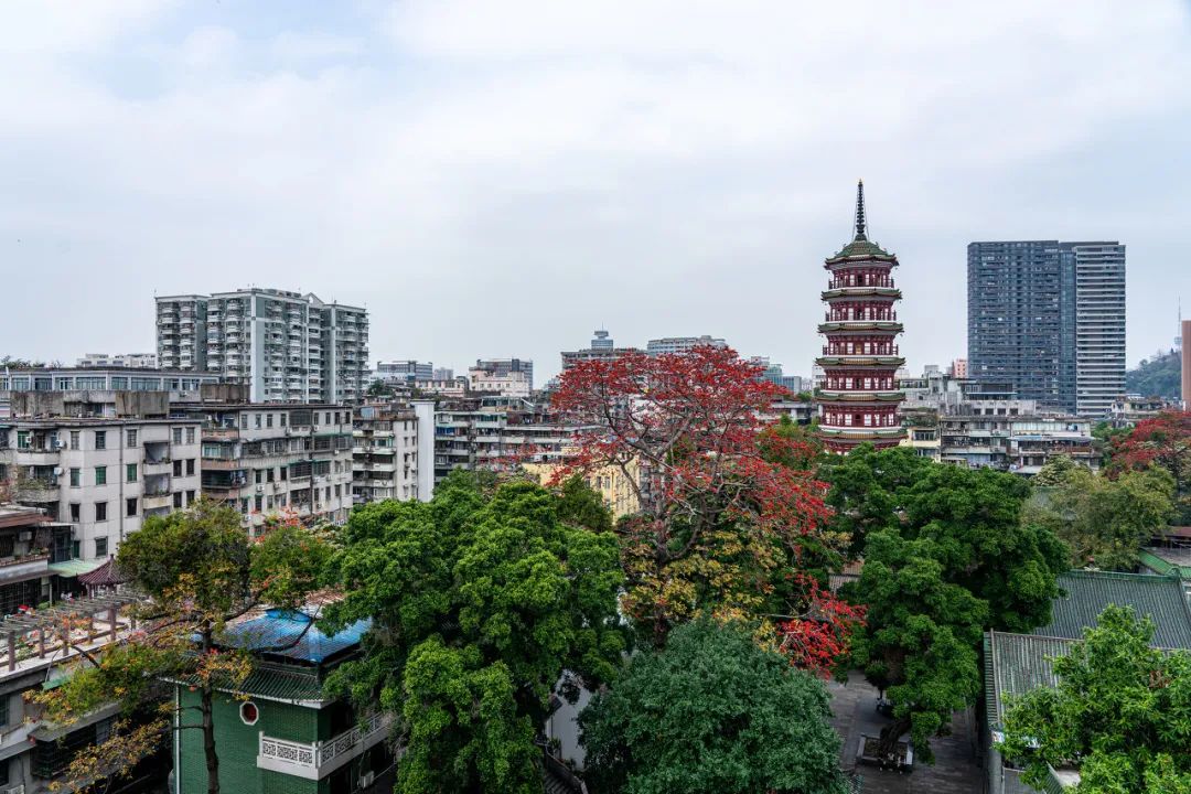 国土空间规划背景下文物保护空间规划编制创新实践  ——《广东省文物保护空间规划》公布实施
