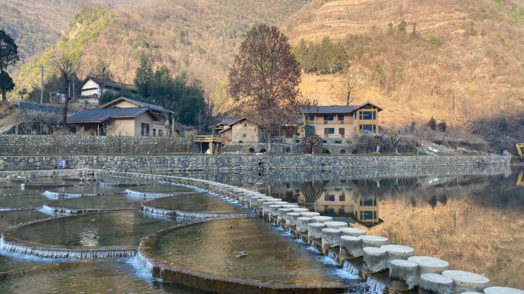 乡建学·拯救乡村振兴 乡建学·拯救乡村振兴