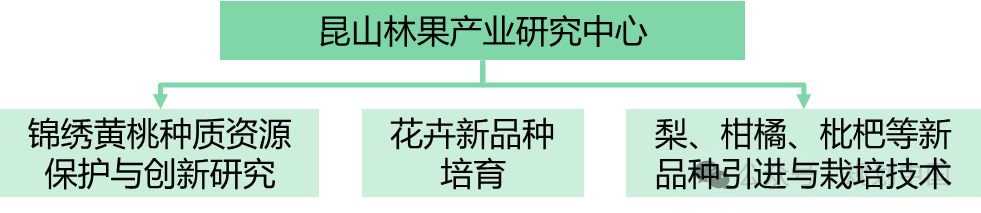 “双面绣”式的农业农村现代化——昆山乡村振兴片区规划实践思考