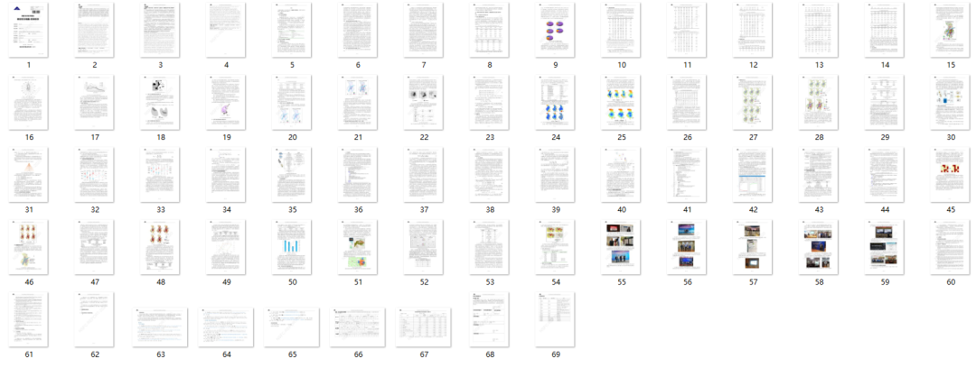 不规则矢量CA和多主体模型如何重塑我们对城市空间扩展的理解？丨城市数据派