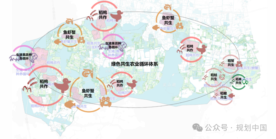 “双面绣”式的农业农村现代化——昆山乡村振兴片区规划实践思考