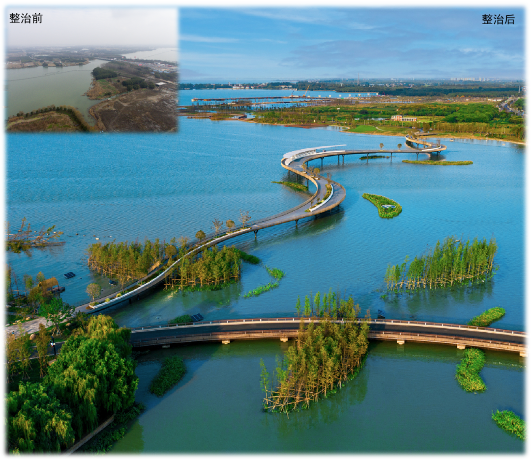 长三角示范区制度创新成果丨跨省域国土空间总体规划实施体检评估机制 长三角示范区制度创新成果丨跨省域国土空间总体规划实施体检评估机制