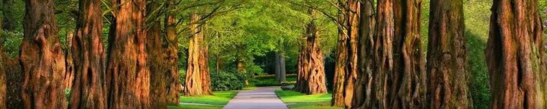 要闻 | 国务院关于《成都市国土空间总体规划（2021—2035年）》的批复