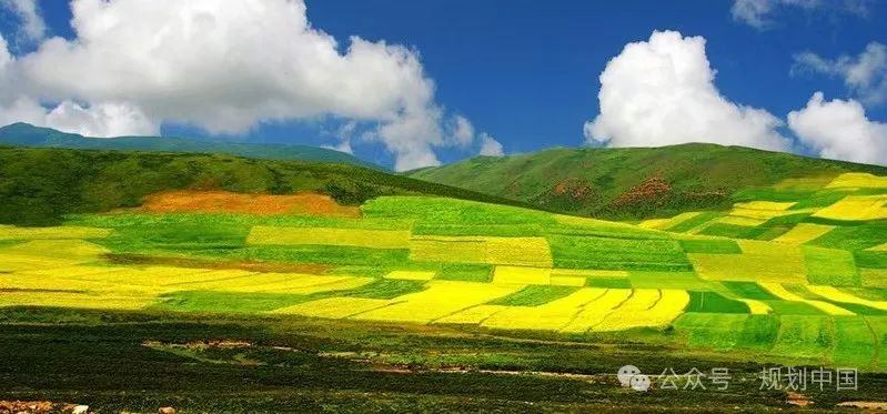 中规作品 | 青海省国土空间规划