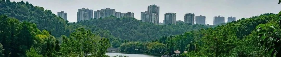行业动态 | 中国新型城镇化理论·政策·实践论坛2024在清华大学召开 行业动态 | 中国新型城镇化理论·政策·实践论坛2024在清华大学召开