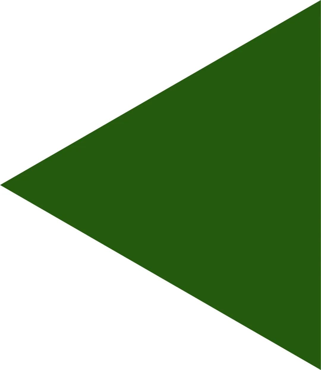 中规作品 | 青海省国土空间规划