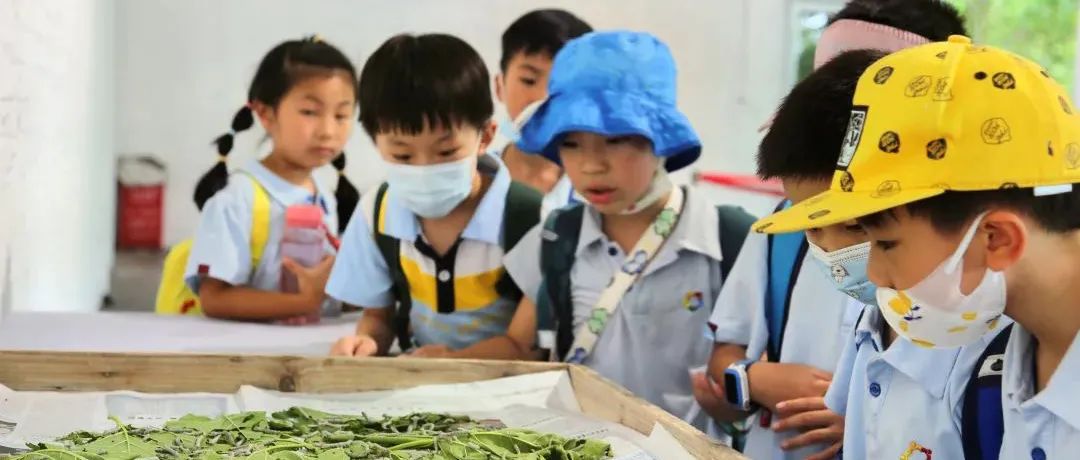 积极应对老龄化:国内外老年友好城市发展的经验与启示|城市眼 积极应对老龄化:国内外老年友好城市发展的经验与启示|城市眼