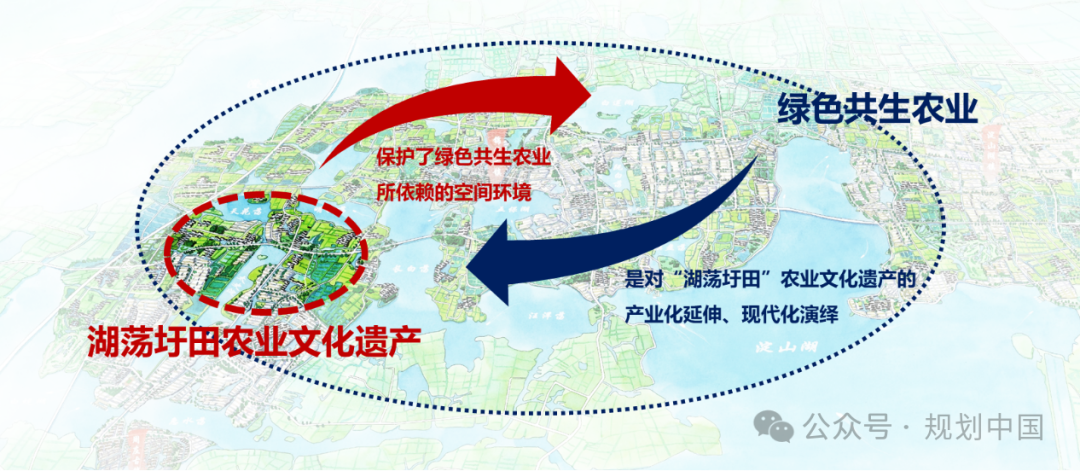 “双面绣”式的农业农村现代化——昆山乡村振兴片区规划实践思考