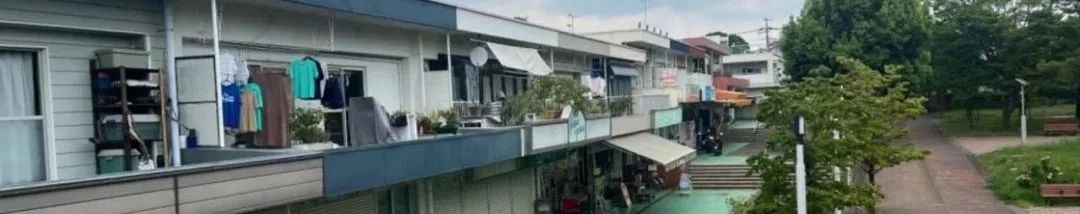 行业动态 | 中国新型城镇化理论·政策·实践论坛2024在清华大学召开 行业动态 | 中国新型城镇化理论·政策·实践论坛2024在清华大学召开